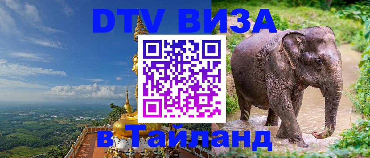 Сколько стоит DTV виза — актуальные цены, оформление даже без документов - 09.01.2026 